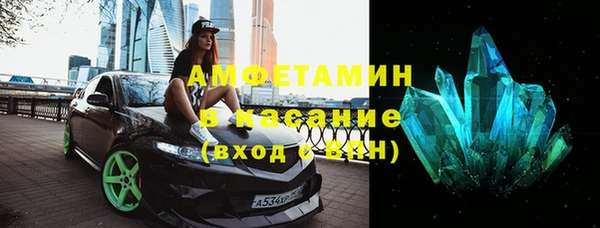 хмурый Аркадак