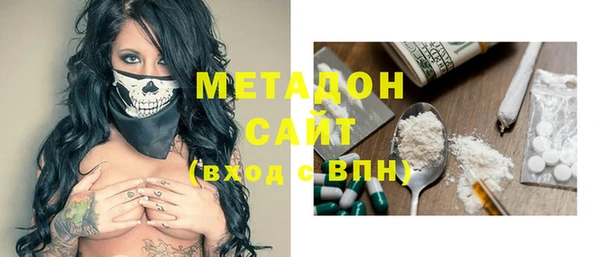 хмурый Аркадак