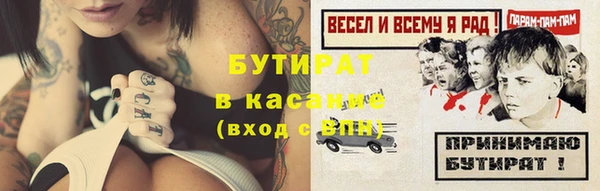 хмурый Аркадак