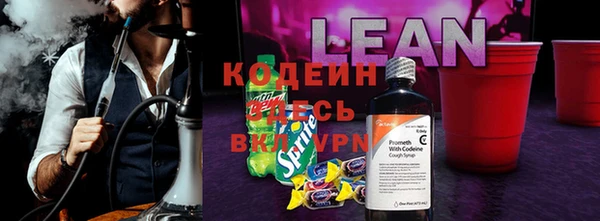 индика Армянск