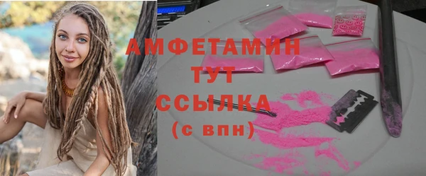 индика Армянск
