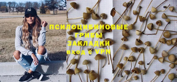 прущая мука Арсеньев