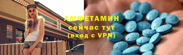 хмурый Аркадак