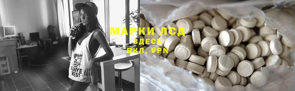 индика Армянск