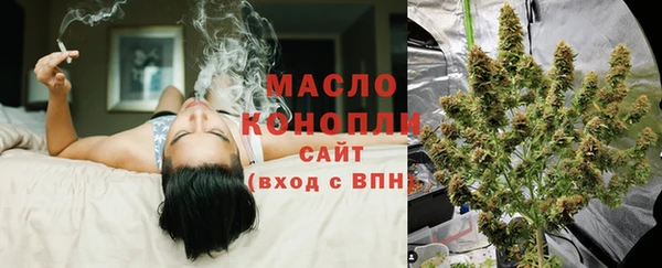 хмурый Аркадак