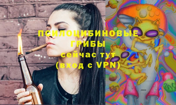 индика Армянск