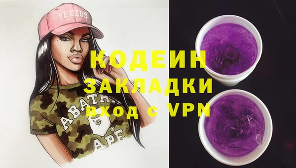 хмурый Аркадак