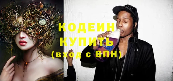индика Армянск